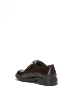 Men's Ferdie Derby
