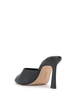 Paigely Mule