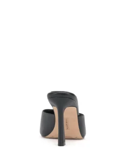 Paigely Mule